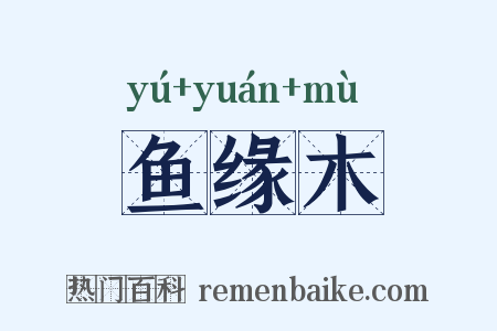 鱼缘木是什么意思的图片